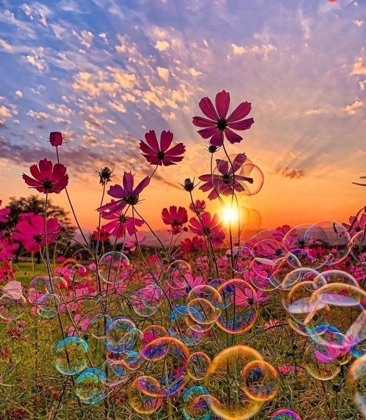 aestheticspost_'s tweet photo. https://t.co/B9CIaNuHiR