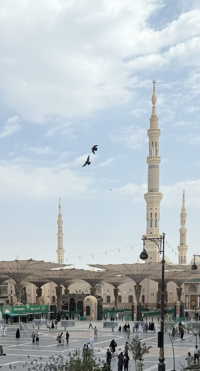 BSD_M4's tweet photo. الرُّوح لا تَأوي إليها عبثًا 
يا ربِّ، بلِّغ قلوبَ المشتاقين https://t.co/mbg67JyND8