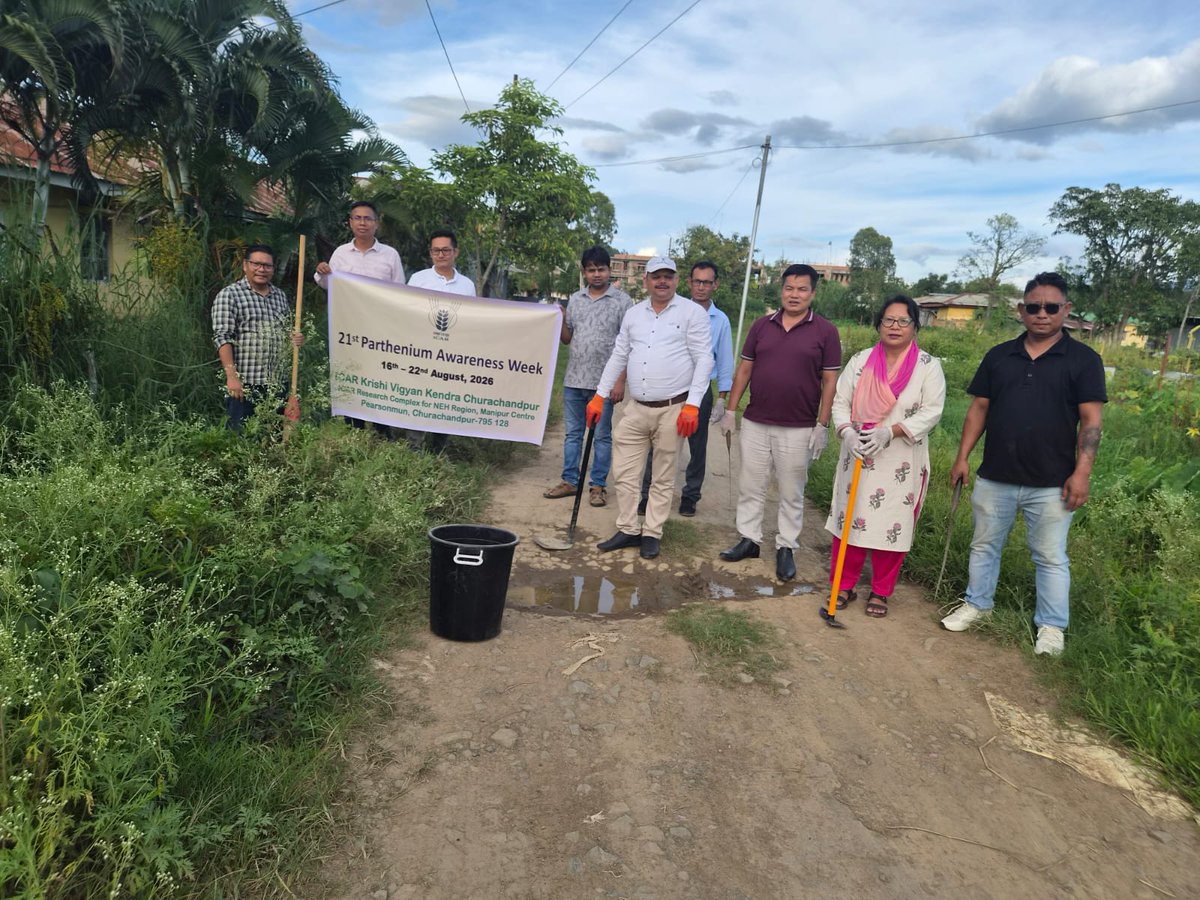 KChurachandpur's tweet photo. ICAR KVK Churachandpur Observes 21st Parthenium Awareness Week to Combat Invasive "Gajar Ghas"
#PartheniumAwarenessWeek #Parthenium #WeedManagement #integratedpartheniummanagement #gajarghas #icarindia #MygovIndia #PressInformationBureau https://t.co/kHAVQPvaUo