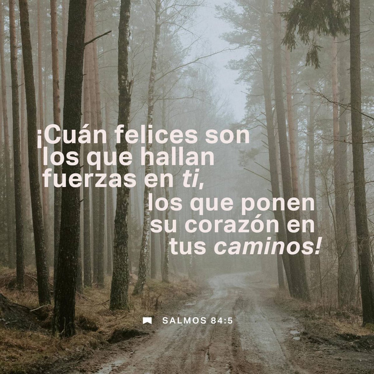 EvangelicoD's tweet photo. Bienaventurado el hombre que tiene en ti sus fuerzas, en cuyo corazón están tus caminos (Salmos 84:5) https://t.co/M4FbYrHfuW