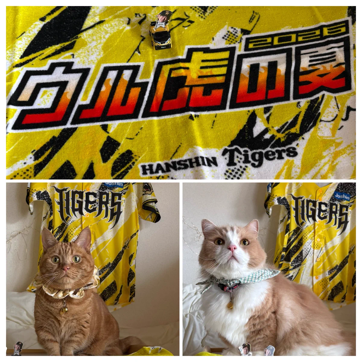 ラウンドワン限定 阪神タイガース Tシャツ 全5種 コンプリートセット ラウンドワン限定 阪神タイガース Tシャツ 全5種 コンプリートセット