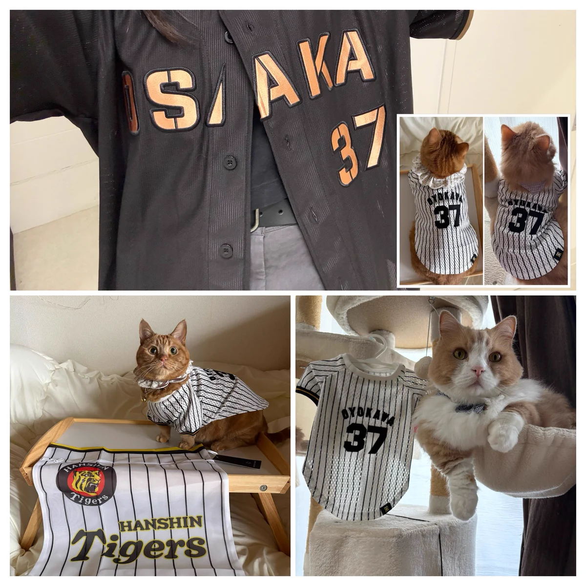 【5枚フルコンプ】阪神タイガース ラウンドワン コラボキャンペーン Tシャツ 公式】ラウンドワン on X: 