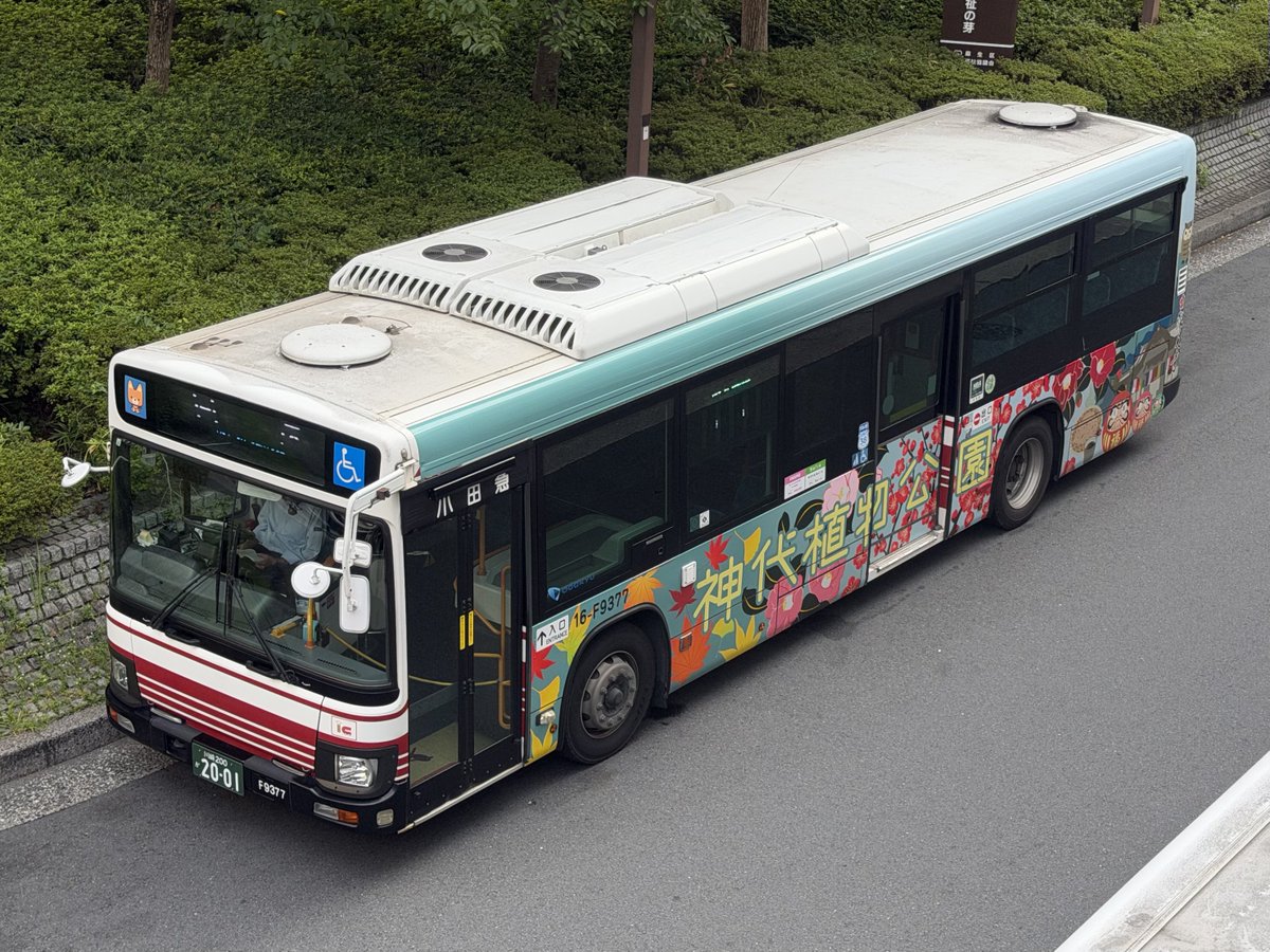 Yoshimarugo's tweet photo. 2026/08/21
#小田急バス ラッピング車
新百合ヶ丘営業所

・ 16-F9377
エルガ QDG-LV290N1
���神代植物公園』

・ 20-F9416
エルガ 2PG-LV290N3
『ポケパーク カントー』 https://t.co/DfOs69P0J4