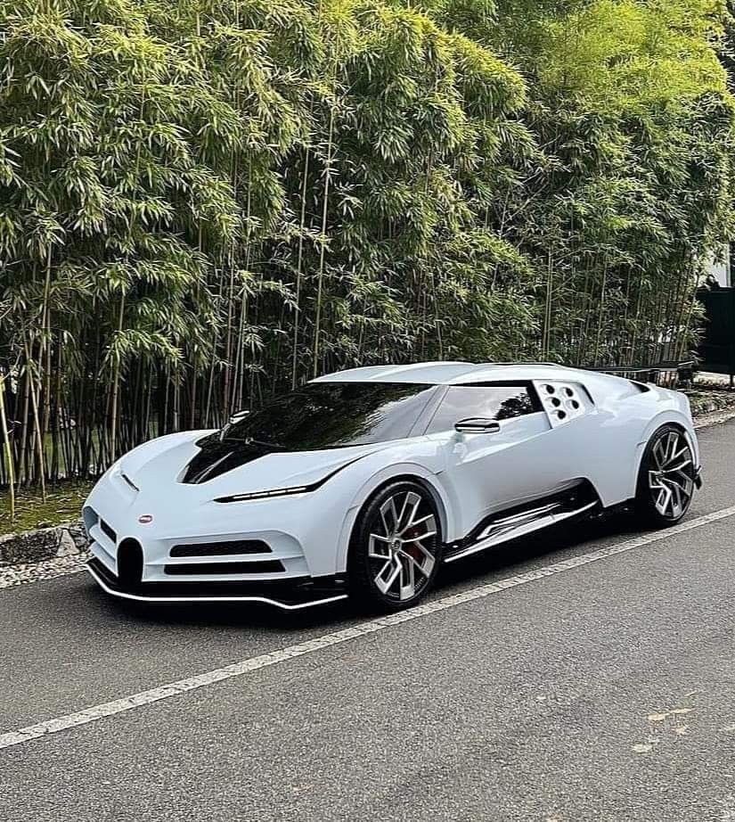 kctigertom's tweet photo. Ultra-rare white Bugatti Centodieci parked against a lush bamboo wall — absolute rolling art. 🤍 https://t.co/ioWZKtdkXU