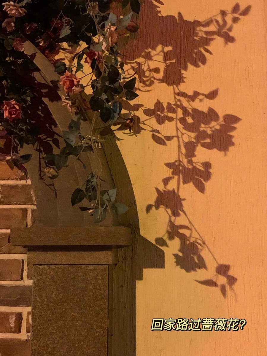 ANELYA983's tweet photo. Another late night at the office, coffee cup empty, to-do list still long—grateful for this steady grind. https://t.co/Xtms1Xz0bC