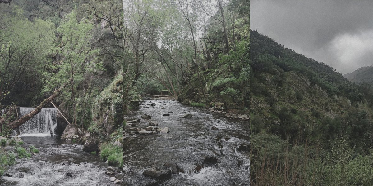 soopowanko's tweet photo. Las wybiera swoje ofiary z chirurgiczną precyzją. Nic nie jest przypadkowe.

Forest // Yoonkook // Paranormal au https://t.co/kUI8zj8gJZ
