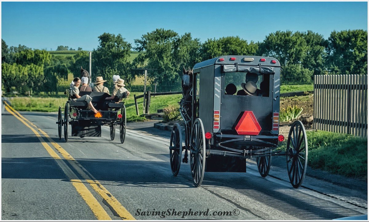 SavingShepherd's tweet photo. “What do we live for, if it is not 2 make life less difficult 2 each other?” eliot
#love #kindness #quoteoftheday #SavingShepherd #Amish #life #photooftheday #motivation #bekind #loveoneanother #inspiration #quotes #simplelife #photography #landscape #amishlife #horse #travel 🇺🇸 https://t.co/Ip53jCQImG