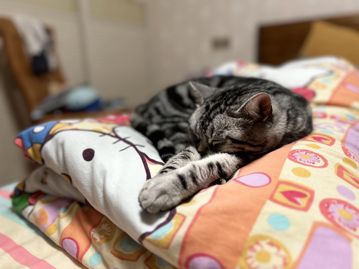 ClassyBlair's tweet photo. Small sleep tweak, big energy boost! Go to bed 15 mins earlier tonight u0026 see how you feel tomorrow. Your body will thank you https://t.co/eNya3tOnTM