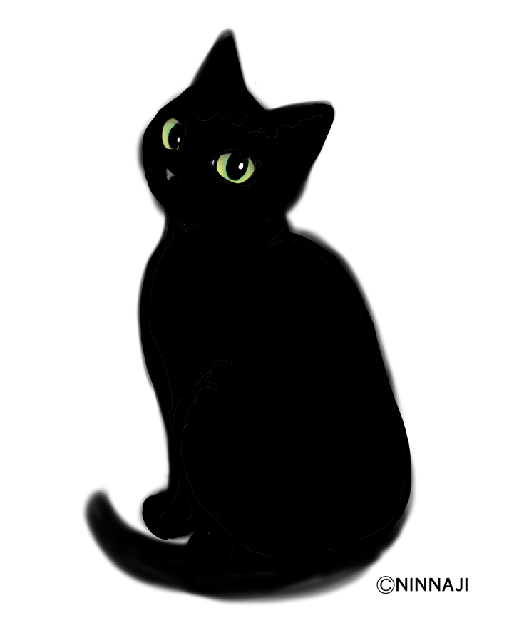 ninnajikurowaka's tweet photo. 今日もお疲れさまなのだ🐾
 疲れたときは、ふわふわを触るとよいらしいのだ

……ボクのこと、なでなでする？
#仁和寺 #黒猫御朱印 https://t.co/X6MFcYvBqx