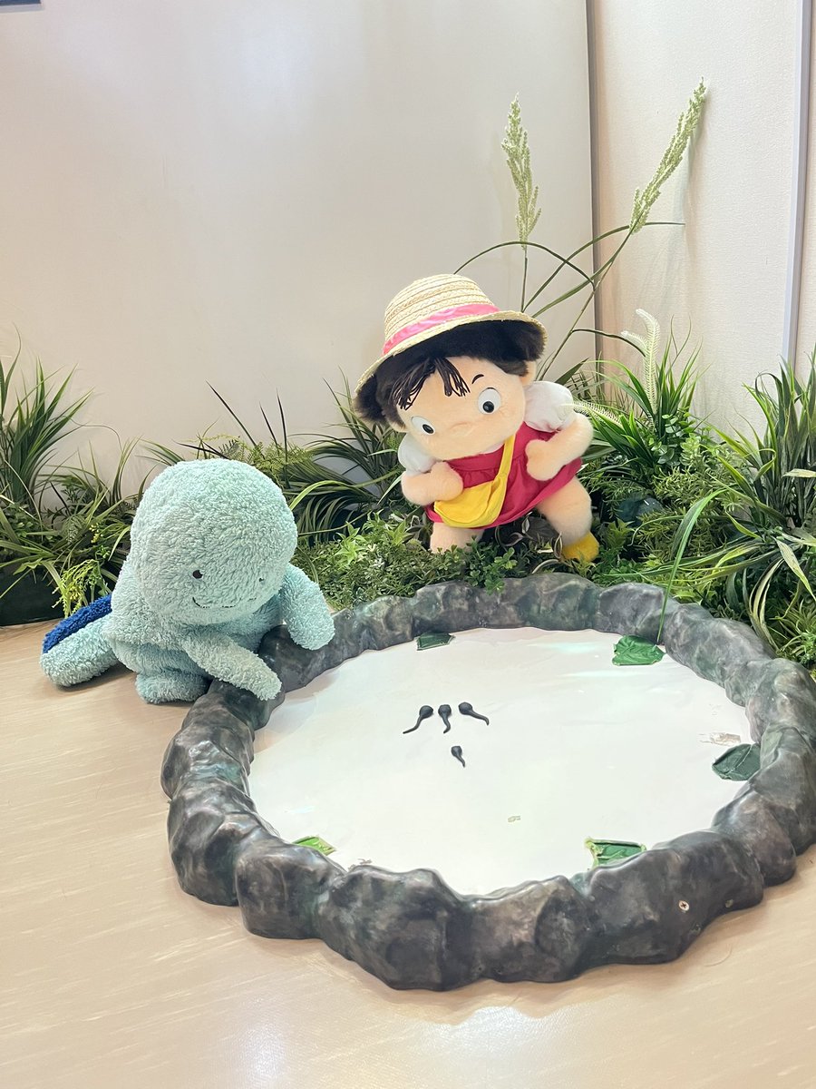 arisan_rem's tweet photo. おじゃまたくしだぬ！( 'ω') https://t.co/HRN5aZLB9W