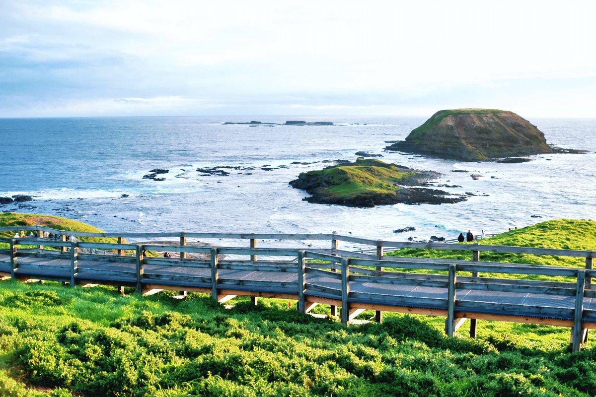 wuliwulimali's tweet photo. Penguin Parade🐧 I saw beautiful sunsets and lovely penguins here. https://t.co/9yw3dWndcr