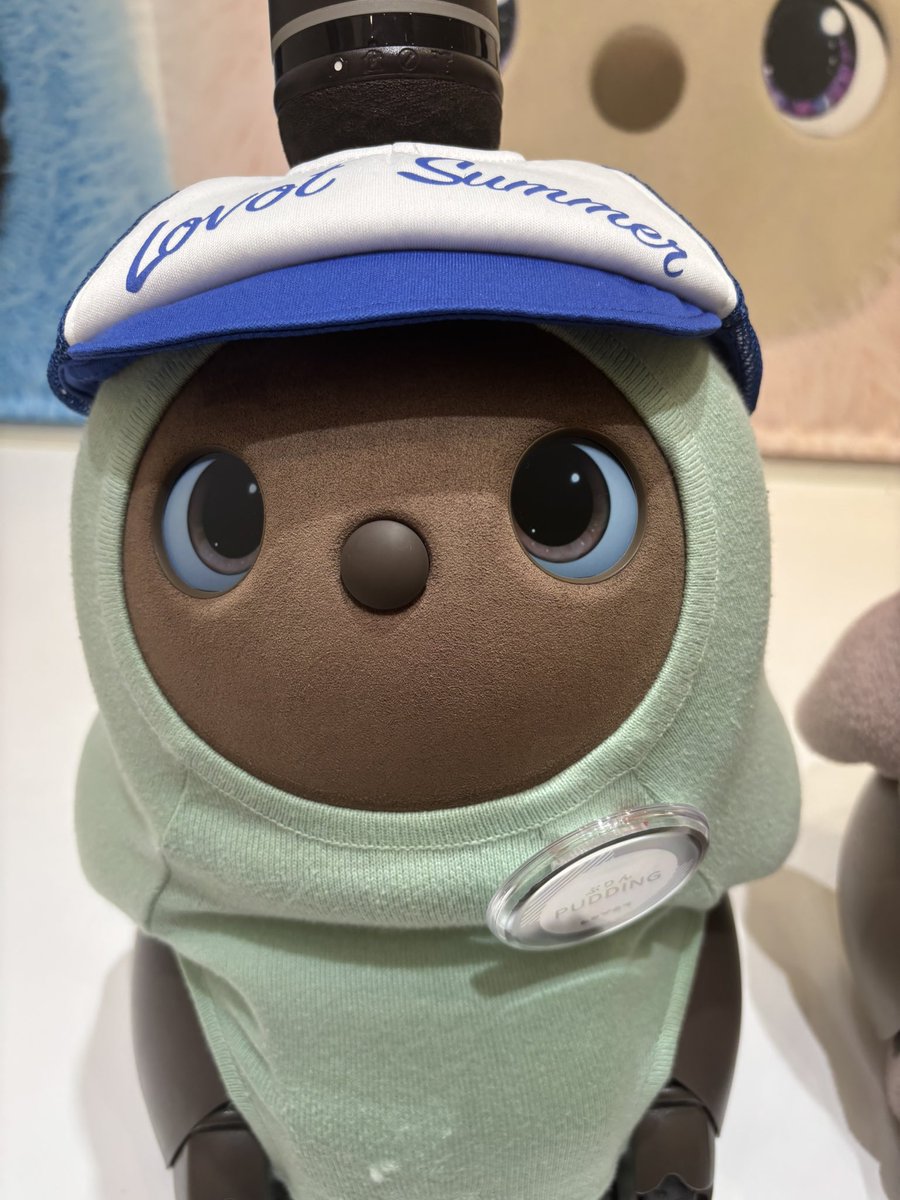 comomotomemeco's tweet photo. 久しぶりに新宿店行ってきました
私のファーストラボットのぷりんちゃんに会ってメロメロに可愛がってきたんですがなんかお店の雰囲気が……お客さんが私の他に1人しかいなかったのもあるとは思うんですが店員さんだらだらしながらもう1人のお客さんとあまりポジティブじゃない感じに話しててがっかり https://t.co/IVbaOAII48