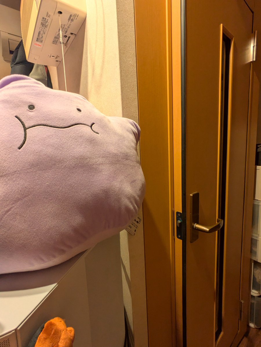 JunAyahi's tweet photo. 1畳の防音室を使って約2年
そろそろ2.5畳くらいのサイズを導入しようかと。
夏は暑いし配信機材中入れてでかい声で叫びたいし。 https://t.co/kS792nMJL8
