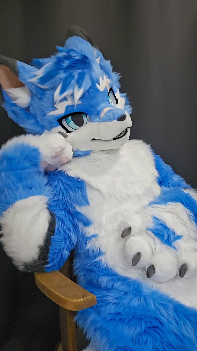 zzuick's tweet photo. 그냥 턱을 괴는 자세

#FursuitFriday https://t.co/DbOKlRsAYf