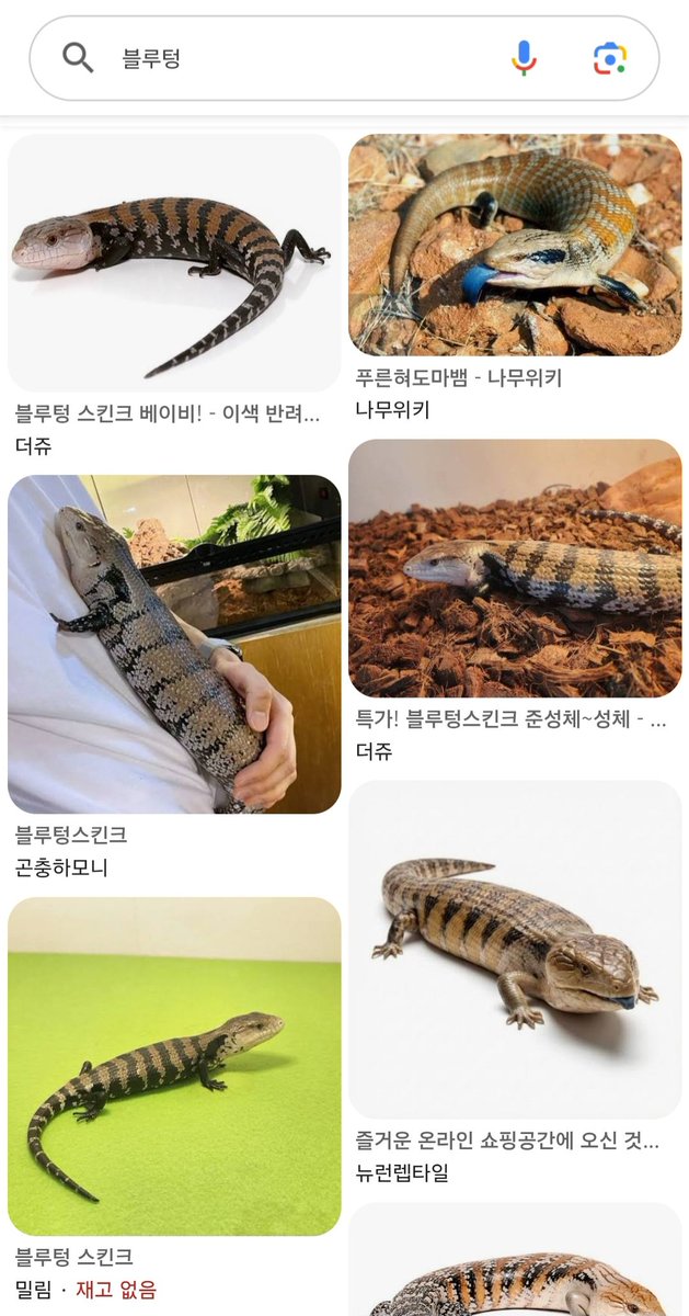 hamb0kka's tweet photo. 블루텅 얘 뭔데?? 겁나 커 https://t.co/Cs35LPpnLO