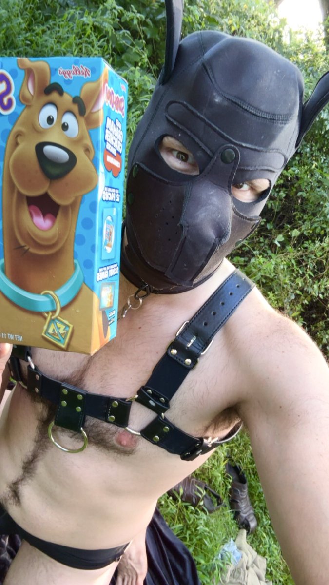 PuupShadow's tweet photo. Not even for a Scooby snack? Arooo 🐶🦴🖤
#pup #pupplay #pupcommunity https://t.co/jYLtsoH05W