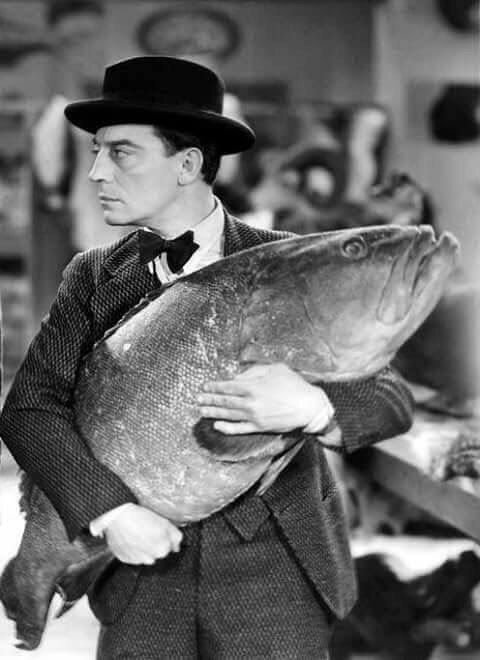 darylandfilms's tweet photo. waittt let me not forget my emotional support gigantic fish.. https://t.co/TbwTvd415U