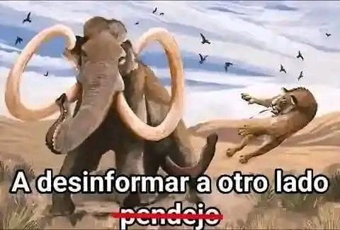 Kyasaringks's tweet photo. @victordavidplus @NewWaveBronze Literal el. https://t.co/0Mh02MXZGW