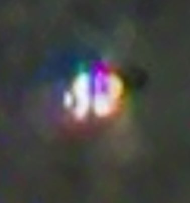 _Mithraic's tweet photo. @RyanDBledsoe @Kory_MooFO @RyanDBledsoe the one time I saw the star of Regulus and thought of your dad @chrisbledsoeufo this #orb #angel #lightbeing flew by the instant I said thank you Chris..in my mind 🙏🏼 https://t.co/YTo9h6zLFS