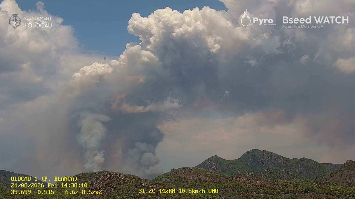 PyroFire's tweet photo. Actualización 14:45 21/08/2026 #IFSegorbe #IIFF https://t.co/xChgFY10Ed