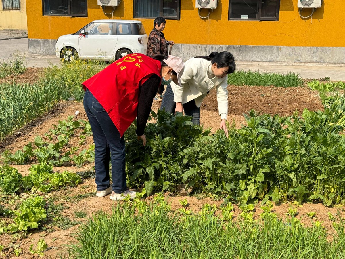 NandhoDewantho's tweet photo. Community Garden Workday this Sat 9AM-12PM! Help plant veggies, meet neighbors, and take home fresh harvests! Bring gloves u0026 water—all skills welcome! https://t.co/1QqnLBTPde