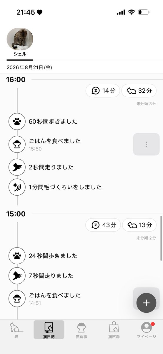 _____neyou's tweet photo. う、うちの ぬこ様もかわいいのでぜひ！ https://t.co/5hJu4SzOz3