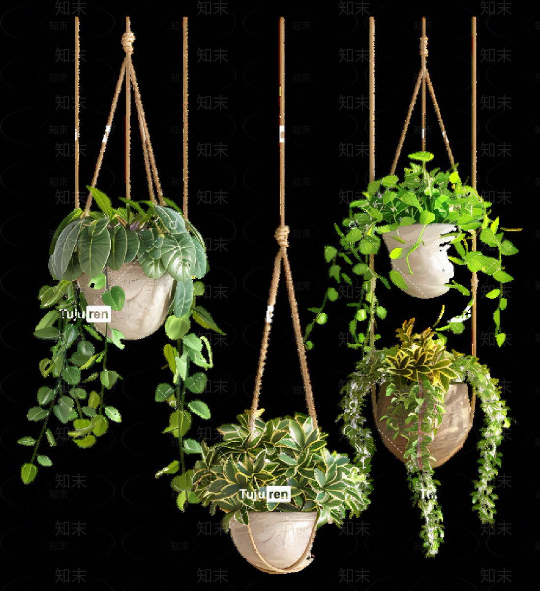 ninahar40765220's tweet photo. Just finished my first DIY macramé plant hanger  No fancy tools needed—just rope, a few knots, and lots of fun. Now my pothos has a new stylish home! #DIYCrafts #HomeDecor https://t.co/mPb3TLYFfY