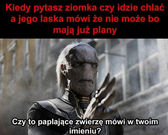 AjKedzierski's tweet photo. Witam i nienawidzę żon moich kumpli https://t.co/dpD3bJgQ7l