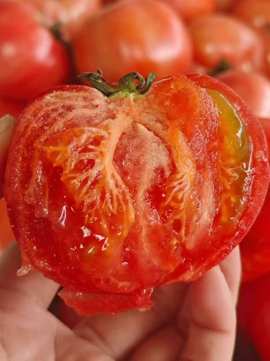 JacintoMelby's tweet photo. Probamos el tomate ecológico de huertos locales! Jugoso, dulce y sin químicos, ideal para ensaladas. 10/10! https://t.co/5EyZKot2JP