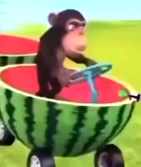 melonmonkeysol's tweet photo. the monkey will continue to drive the watermelon train with or without you https://t.co/2gqSOy3sse