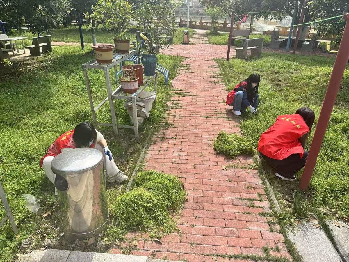 Mluv33justAPeek's tweet photo. Join our weekend community garden cleanup this Sat 9AM at Maple Park! All neighbors welcome—tools u0026 snacks provided. Let’s green our space together! https://t.co/qccEGtHa4b