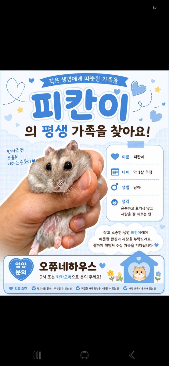 HamHolic4ever92's tweet photo. 먹는 뒷 모습만 보여주는 피칸
동글동글 동그라미~~~
뚜..뚱피칸 동그라미~~
피칸이의 평생 가족을 찾습니다!
최소 120리빙 / 26cm 이상의 쳇바퀴 / 모래존/ 코코피트존/ 노즈워크존/ 주사료- 슬림탄탄- 
내 손안의 햄찌 
친해지면 이름부르면 나오는 댕햄찌 https://t.co/OwoWKMpxMP
