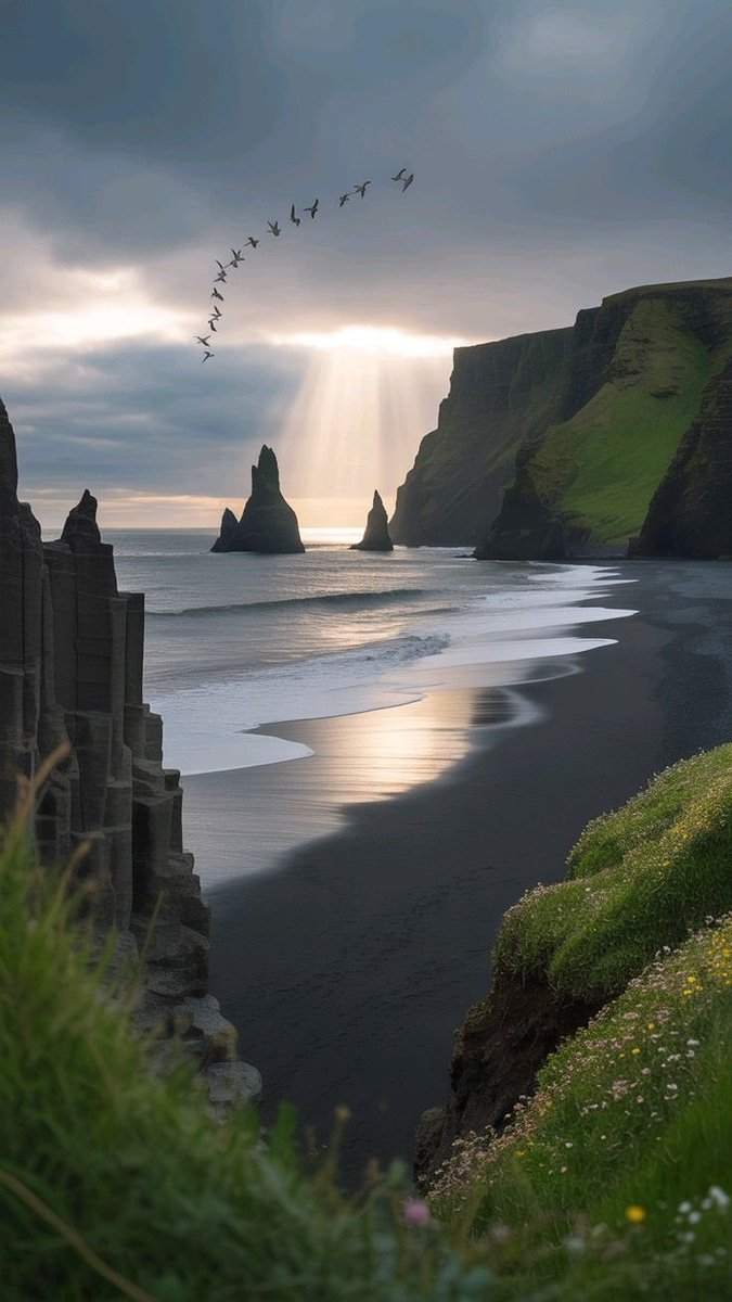 onllycutestuff's tweet photo. Iceland https://t.co/cW5w6Pp7sL