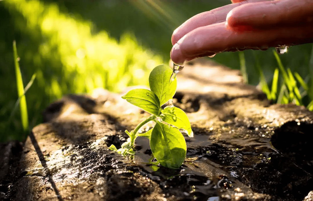 patrin888's tweet photo. “Growth isn’t about becoming perfect—it’s about looking back and realizing how much you’ve outgrown the person you used to be.  #GrowthMindset”， https://t.co/vcaPvqO2ok