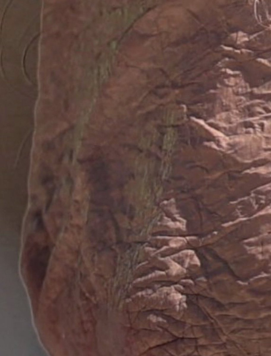 krassenstein's tweet photo. Clue #1 Let's play a game:

What is it?

Clue #2 coming in 2 minutes... https://t.co/LhHYt2kz76