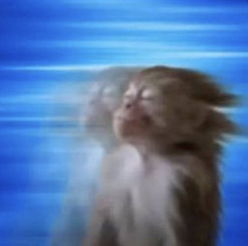 TheDegenTurk's tweet photo. 4HZV2YJmspAehACxpSKbu7RowK5YdeWGP4DPRStxpump

Everyone works at solana tweeting about this the entire day. Expect a god candle soon https://t.co/yzXH3unupr