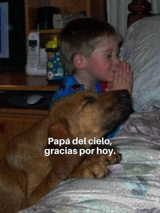 feydisciplina's tweet photo. Papá del cielo, gracias por hoy.  

--Hilo-- https://t.co/D0GSLn8XXw