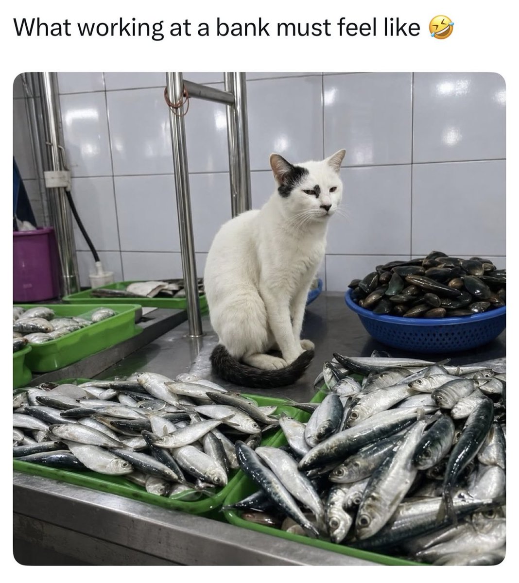 Dadsaysjokes's tweet photo. https://t.co/Sjni13I6Q5