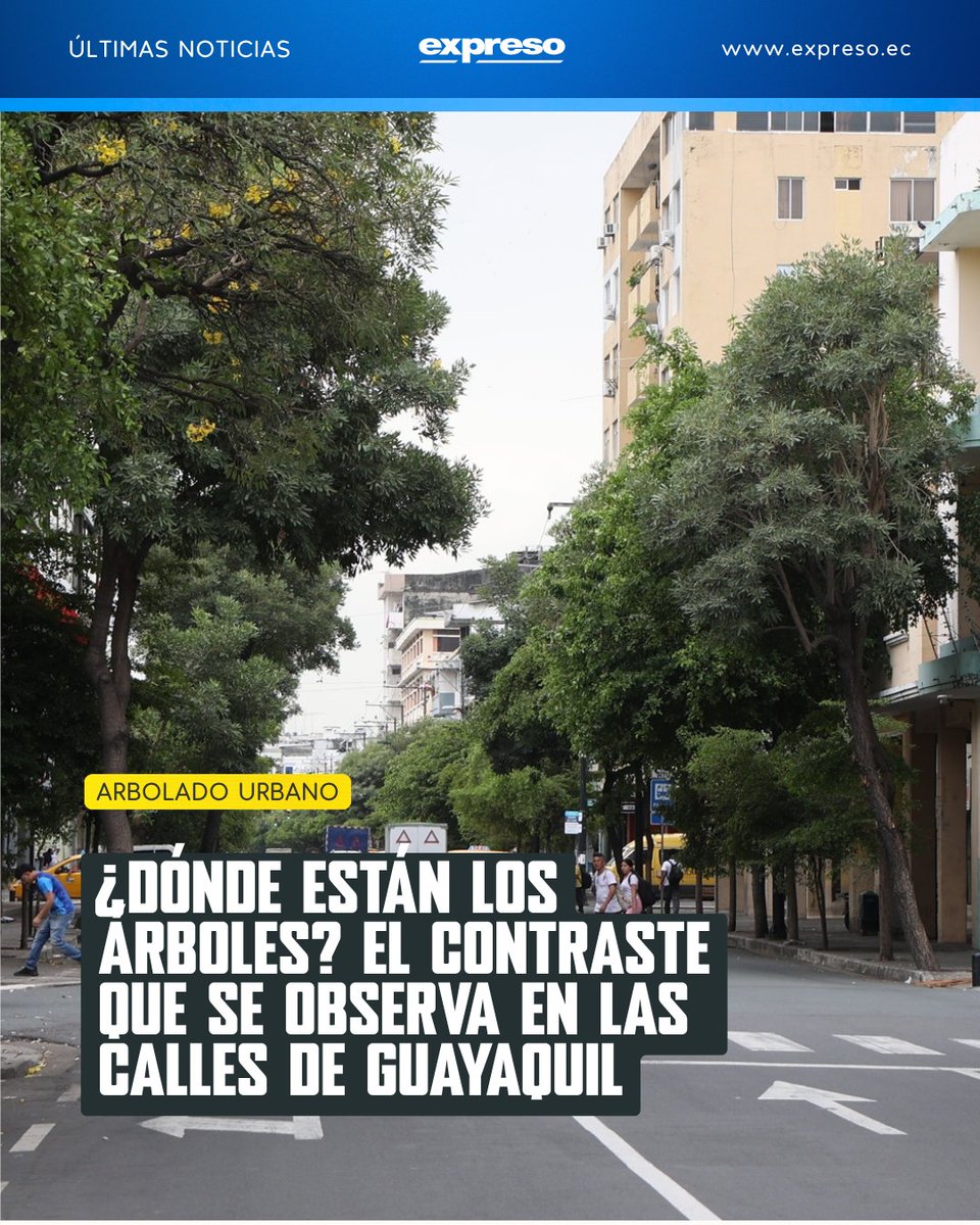 Expresoec's tweet photo. Guayaquil muestra un marcado contraste en su arbolado urbano: mientras algunas calles tienen árboles frondosos que dan sombra, en otras la vegetación es escasa y los peatones quedan expuestos al sol.

Más detalles: https://t.co/GQFXI2fYno https://t.co/CzxCvXcntf