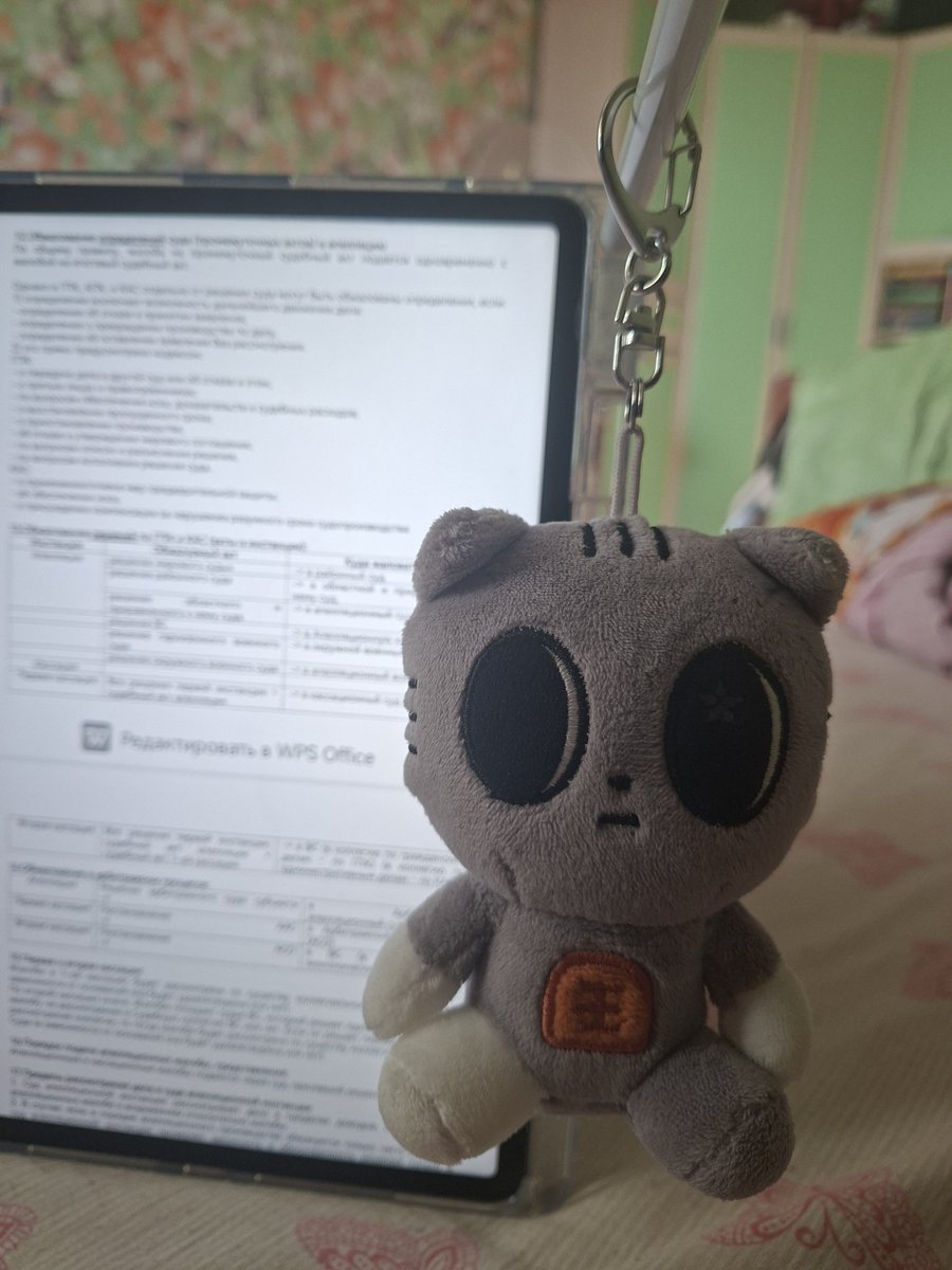 am7ysha's tweet photo. я очень странно установила свой планшет, но самое забавное, что ему всё не почём (бывший физмат удивляется простой физике) https://t.co/xX0l42q0FE