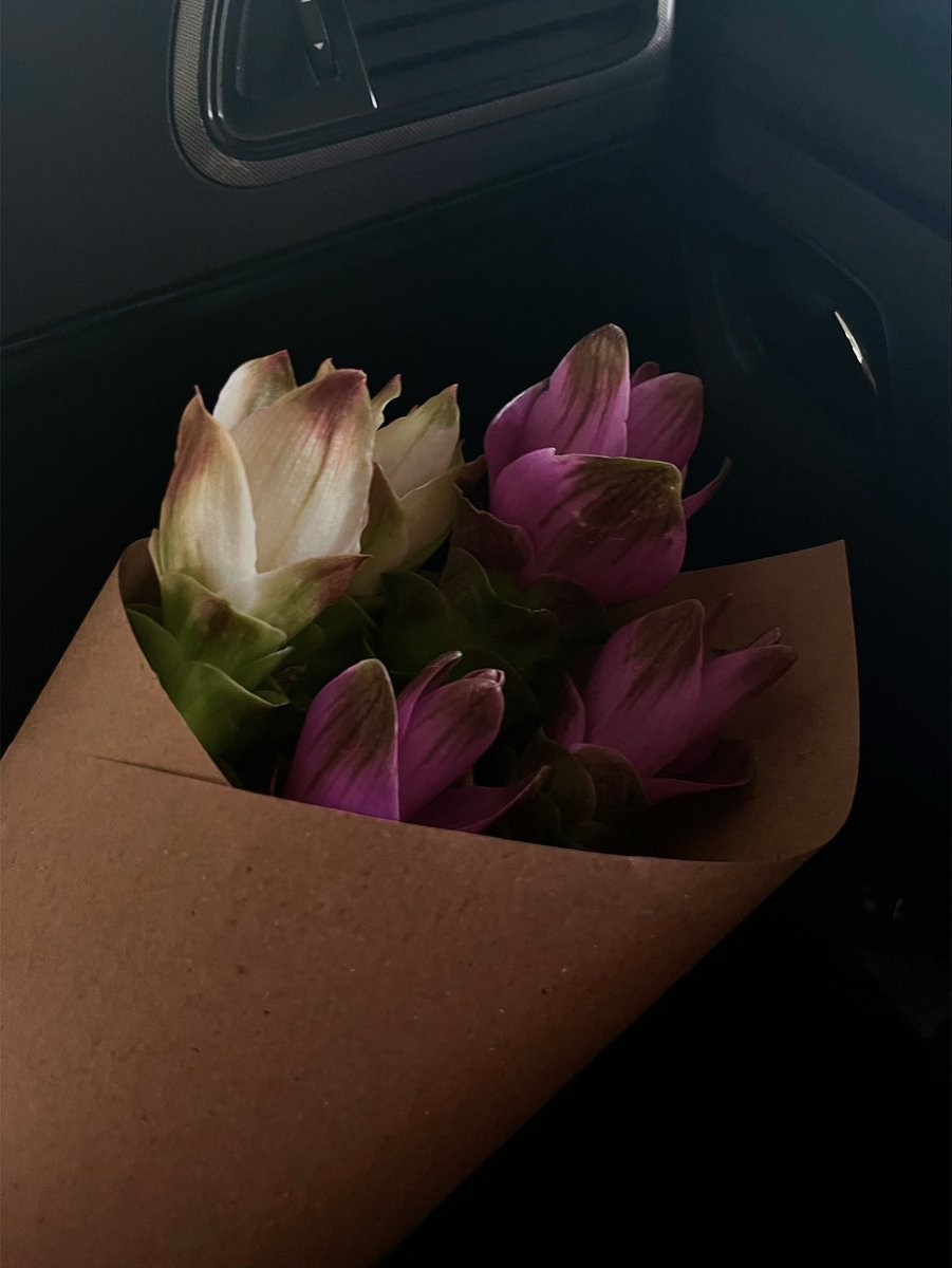 flowercares's tweet photo. last bits of 365 https://t.co/RY1FCdfgxM