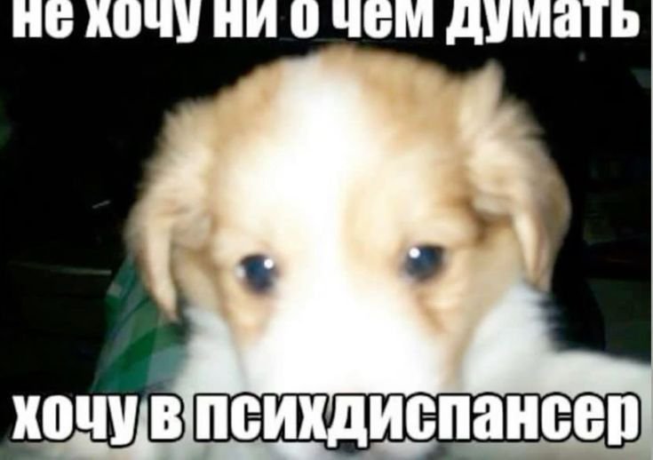 Motemerb's tweet photo. https://t.co/fpUwgqEbDF