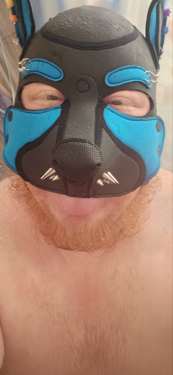 ODell_1991's tweet photo. A pup having fun the shower https://t.co/ZL0YyeR0CK