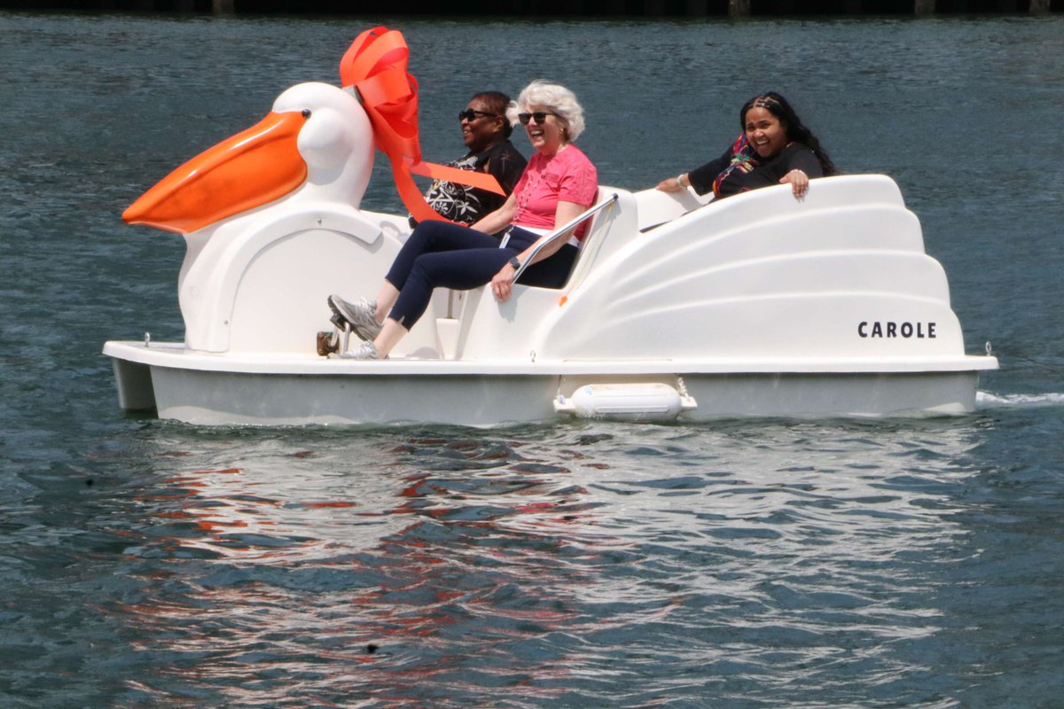 BosChildMuseum's tweet photo. On July 22, Boston Children’s Museum and Charles River Boat Company celebrated Carole Charnow with a pelican pedal boat naming ceremony! As she retires as President &amp; CEO at the end of August, Carole will be honored with the title of President Emerita. We will miss you Carole! 🩷 https://t.co/9QfWhipKlN