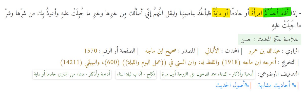 Czar487's tweet photo. @nada3ssamsayed لا أنا مش شايفك زى البهيمة خالص بالعكس , الكلام ممكن يكون مثير للاستهزاء بالنسبالك بس انا شايفك ضحيه اصلا , الدين اللطيف اللى انتى متبعاه هو اللى شايفك بهيمة للاسف.
ضرب الزوجات بقى و المواريث و الحر بالحر و العبد بالعبد و  الانثي بالانثى و غير كده كتير جدا صعب عليكى تستوعبيه https://t.co/hXox0fLc37