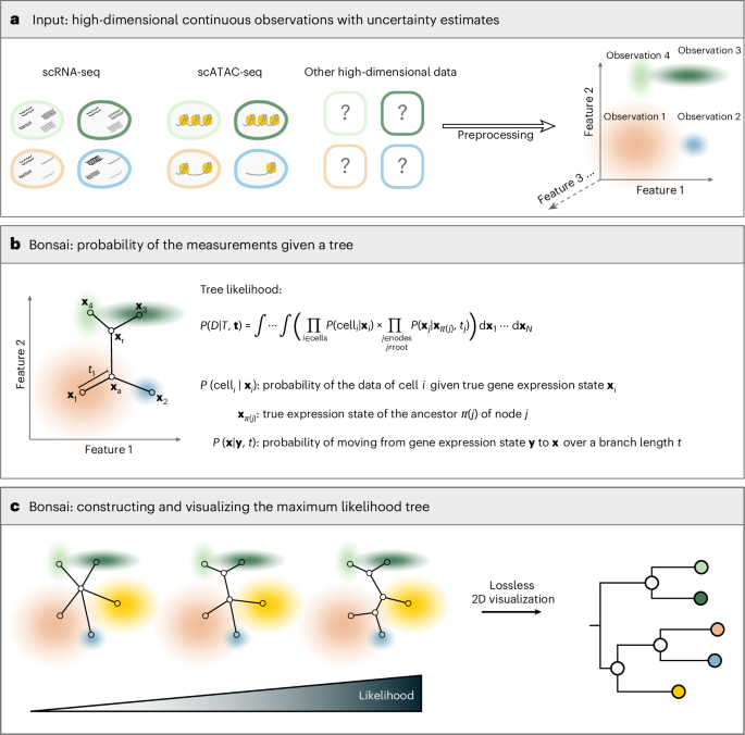 NatureBiotech's tweet photo. Bonsai reconstructs tree representations for distortion-free visualization and exploration of high-dimensional data https://t.co/Vy4DTpvczZ https://t.co/kJOcFyoxrv