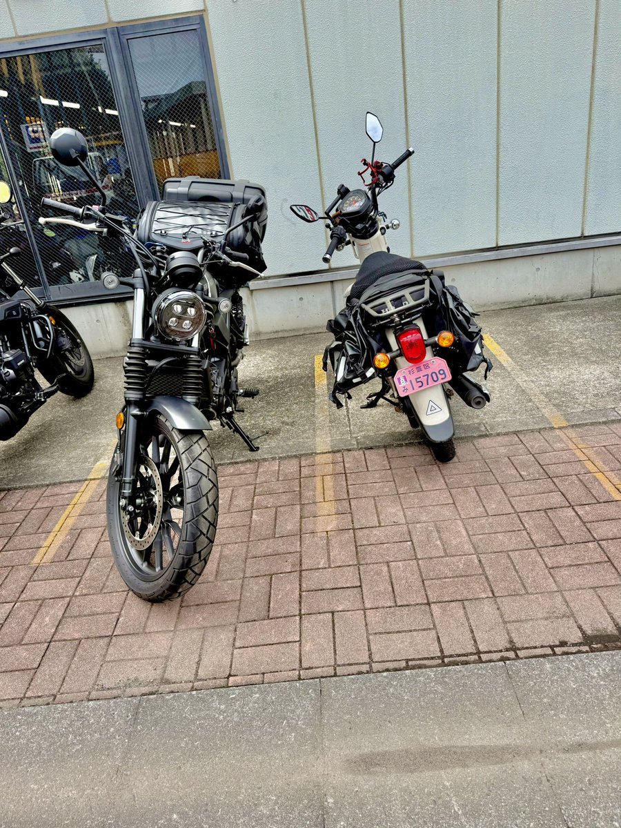 seo0506's tweet photo. ちなみにCL250はこれ。

これもいいバイクだから、大事に乗っていきたいな。

#あんごるもあZ
#fmotaru https://t.co/taFDkU6aQe