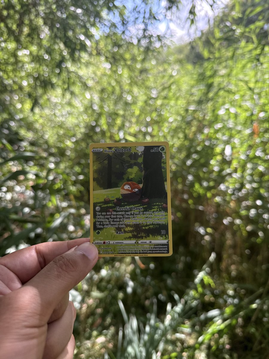 Emera1dbreak's tweet photo. Catch of the day. https://t.co/kXdTpU6WzE