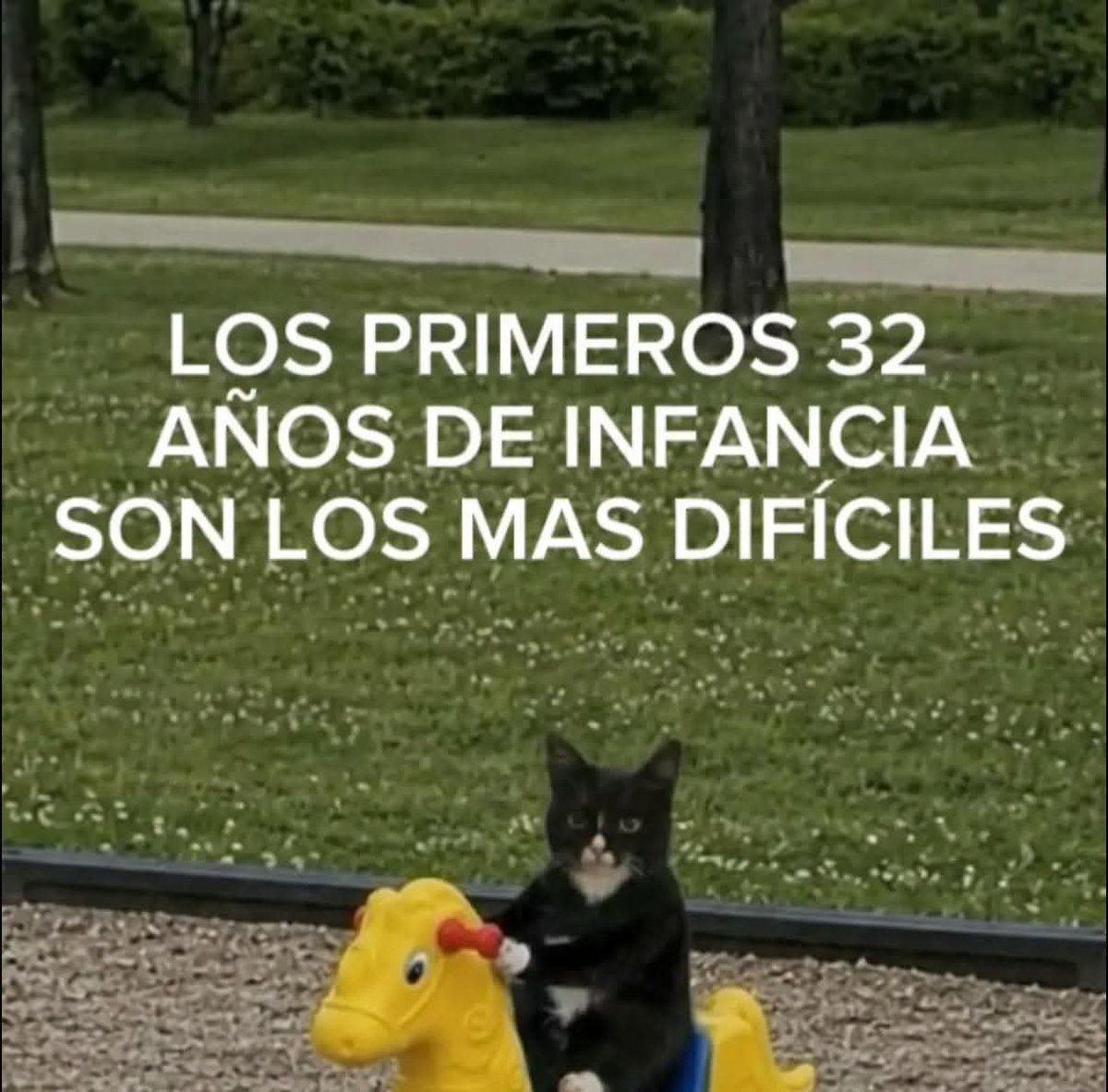 Mantequilla90's tweet photo. https://t.co/rBleVd2bdI