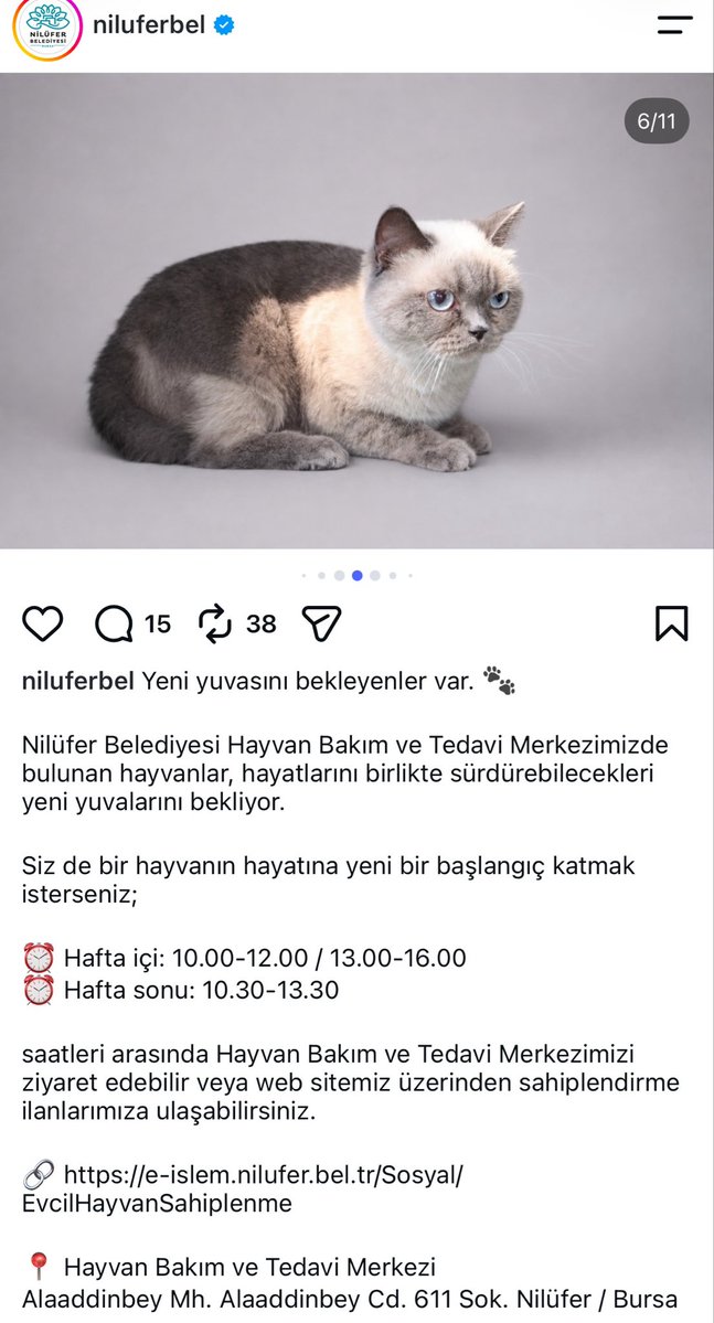 monakopiremsesi tweet picture